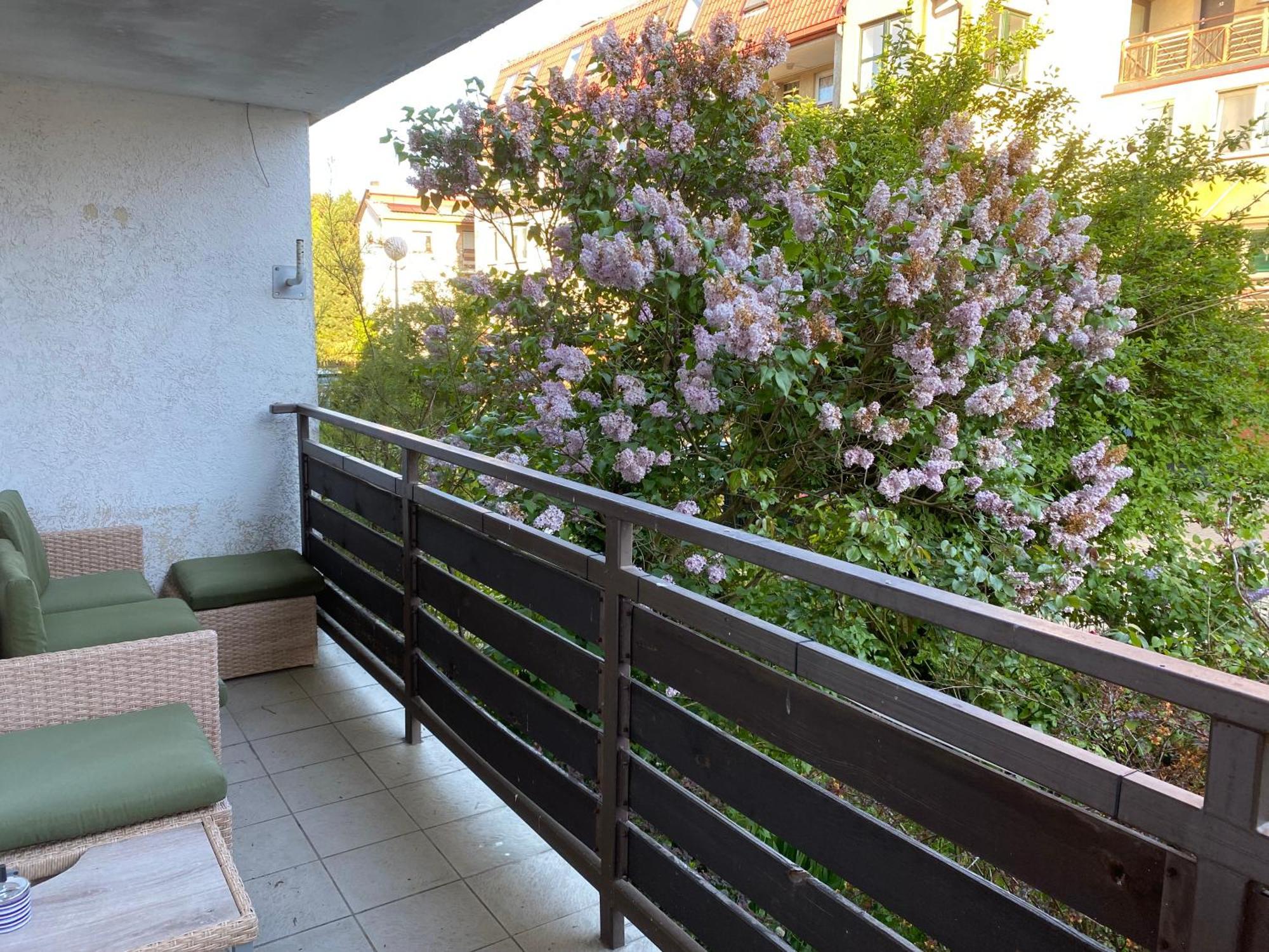 Lesne Apartamenty - Apartament Szary Hel Eksteriør billede